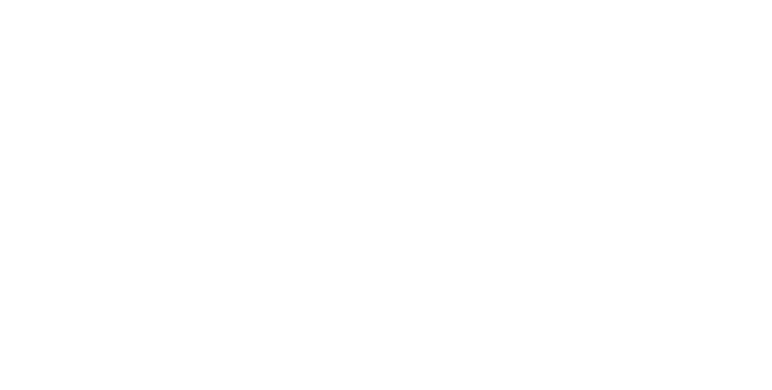 The Bridge Wellness Hub