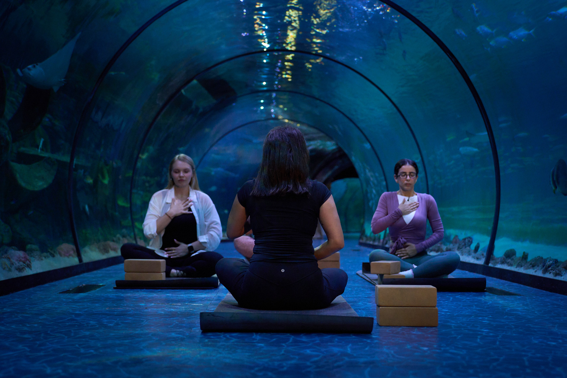 Yoga at The National Aquarium