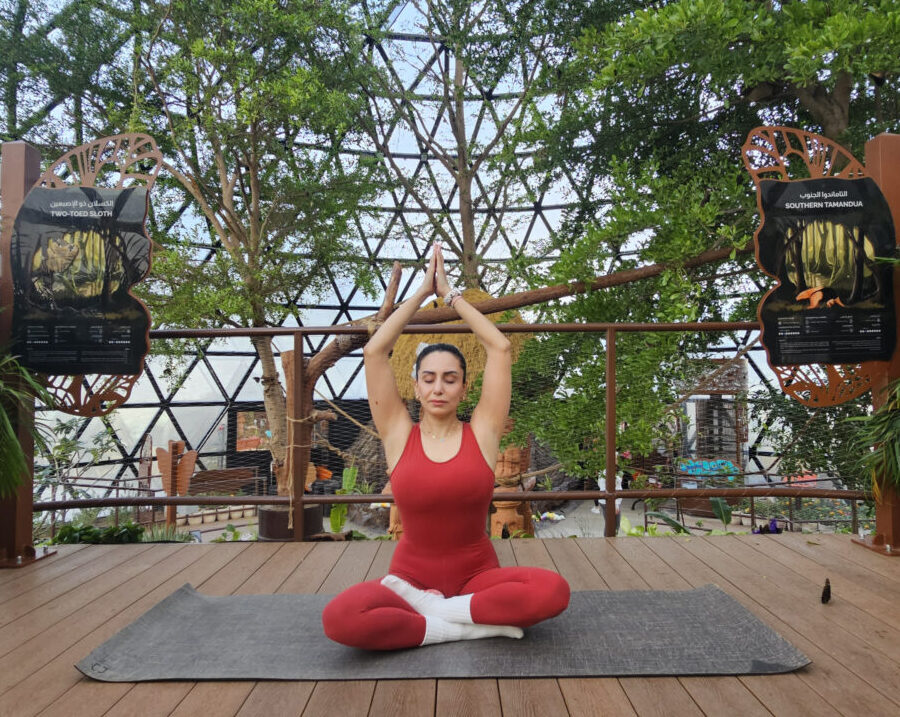 Gentle Yoga Sync with Butterflies | Ladies Only