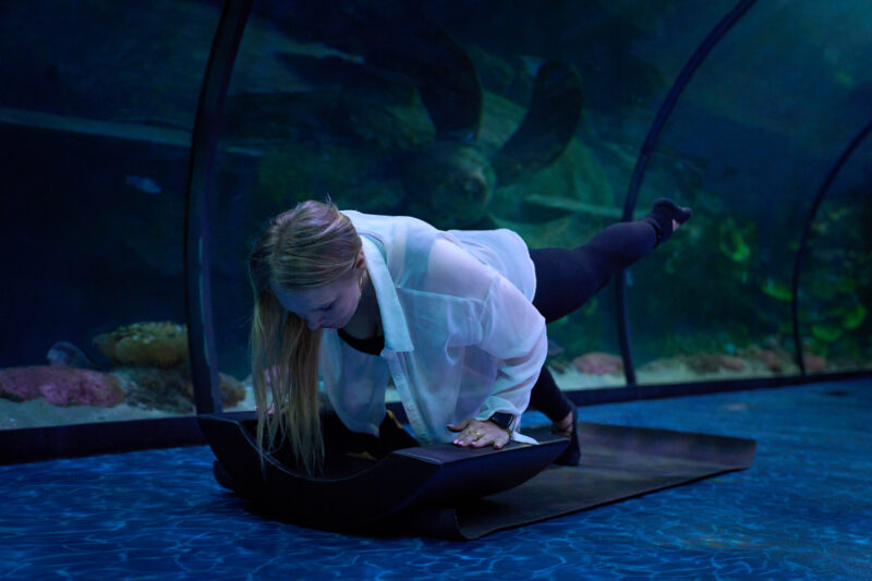 Arc Pilates at The National Aquarium