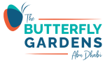 butterfly-logo